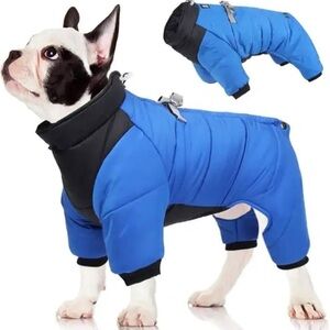 Duomm Dog Snowsuit Royal Blue Black Small Breeds XL 13-15 Pound Pup